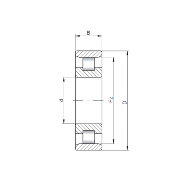 N3040 ISO Cylindrical Roller Bearings